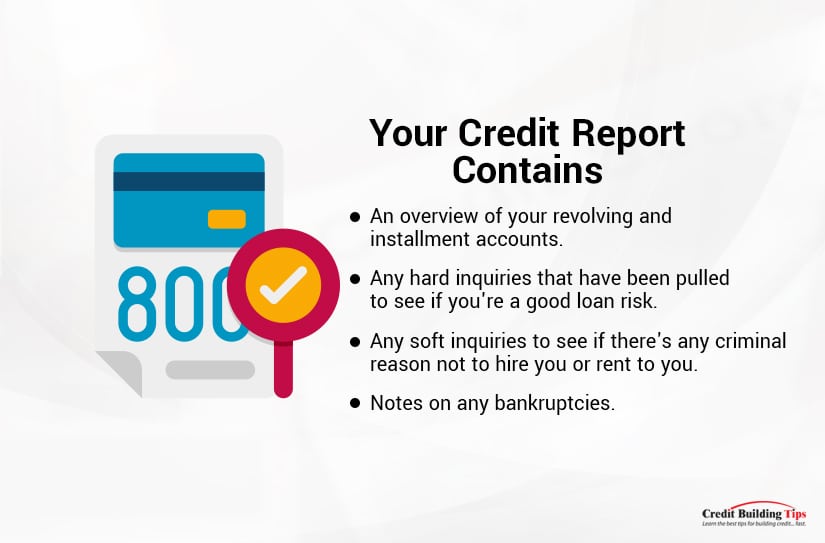 What a Credit Report Contains